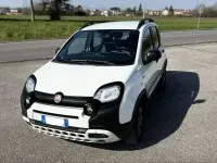 Usata Fiat Panda Cross Cross 95 CV (69 kW) 2017 Utilitaria