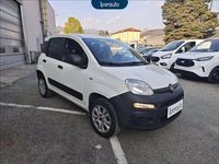 Usata Fiat Panda 4x4 Pop 86 CV (63 kW) 2020 Bianco Utilitaria