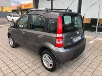 Usata Fiat Panda 4x4 75 CV (55 kW) 2012 Grigio Utilitaria