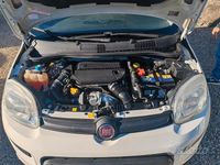 Usata Fiat Panda 4x4 75 CV (55 kW) 2013 Bianco Utilitaria