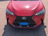 Usata Lexus NX350h 190 CV (139 kW) 2024 SUV