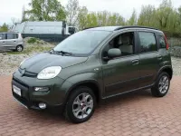 Usata Fiat Panda 4x4 S 75 CV (55 kW) 2013 Verde Utilitaria