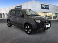 usata Fiat Panda Cross 1.0 FireFly 70cv S&S Hybrid