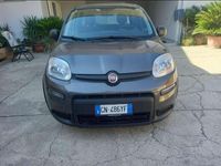 Usata Fiat Panda City Life 69 CV (50 kW) 2023 Utilitaria