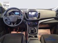 usata Ford Kuga 1.5 EcoBoost 120 CV 2WD del 2019 usata a Livorno