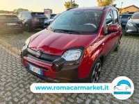 Usata Fiat Panda Cross Cross 69 CV (50 kW) 2025 Rosso Utilitaria