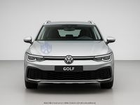 Usata VW Golf Alltrack 200 CV (147 kW) 2024 Grigio Station wagon