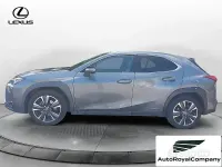 Usata Lexus UX Luxury Line 183 CV (134 kW) 2019 Grigio SUV