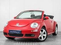 Usata VW New Beetle 116 CV (85 kW) 2006 Rosso Utilitaria