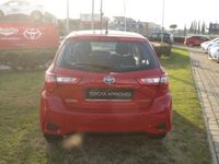 usata Toyota Yaris Hybrid 1.5 Hybrid 5 porte Active del 2019 usata a Roma