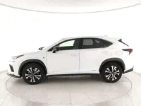 Usata Lexus NX300h Sport Line 155 CV (114 kW) 2019 Bianco SUV