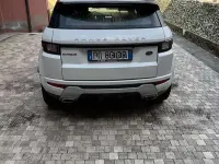 Usata Land Rover Range Rover evoque 150 CV (110 kW) 2018 SUV
