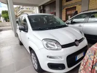 Usata Fiat Panda 85 CV (62 kW) 2014 Utilitaria