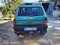 Usata Fiat Panda 4x4 Trekking 54 CV (39 kW) 1999 Verde Utilitaria