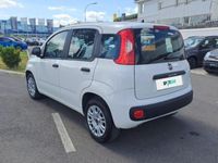 usata Fiat Panda 1.2 69cv E6d-Temp Easy