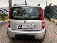 Usata Fiat Panda 4x4 Climbing 60 CV (44 kW) 2009 Grigio Utilitaria