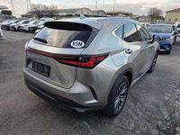 Usata Lexus NX450h+ 309 CV (227 kW) 2023 Grigio SUV