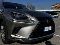 Usata Lexus NX300h Sport Line 155 CV (114 kW) 2018 SUV