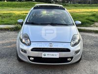 usata Fiat Punto 1.3 MJT II 75 CV 5 porte Pop