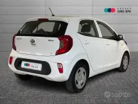 Usata Kia Picanto Active 65 CV (47 kW) 2020 Bianco Utilitaria