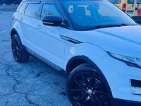 Usata Land Rover Range Rover evoque 150 CV (110 kW) 2013 Bianco SUV