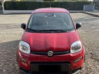 Usata Fiat Panda S 69 CV (50 kW) 2024 Utilitaria