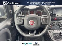 Usata Fiat Panda City Life 69 CV (50 kW) 2024 Bianco Utilitaria