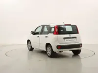 Usata Fiat Panda 69 CV (50 kW) 2020 Bianco Utilitaria