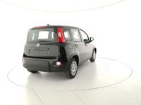 usata Fiat Panda 1.2 Active EasyPower nuovo