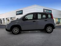 usata Fiat Panda 1.0 FireFly 70cv S&S Hybrid