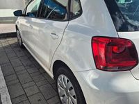 Usata VW Polo 70 CV (51 kW) 2011 Bianco Utilitaria
