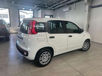 Nuova Fiat Panda Pop 69 CV (50 kW) 2026 Bianco gelato / vari colori Utilitaria