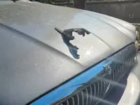 Usata Jaguar X-type 131 CV (96 kW) 2004 Grigio Berlina