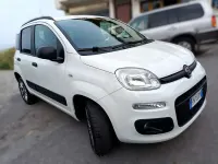 Usata Fiat Panda 4x4 S 80 CV (58 kW) 2018 Bianco Utilitaria