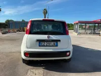Usata Fiat Panda Easy 75 CV (55 kW) 2015 Bianco Utilitaria