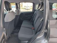 Usata Fiat Panda 69 CV (50 kW) 2021 Grigio Utilitaria