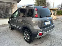 Usata Fiat Panda Cross Cross 86 CV (63 kW) 2021 Grigio Utilitaria