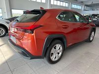 usata Lexus UX UX 200250h 2.0 Executive 2wd cvt