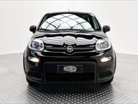 usata Fiat Panda 1.0 FireFly Hybrid