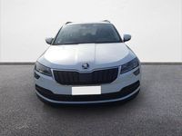 usata Skoda Karoq 2.0 TDI EVO SCR 115 CV DSG Ambition