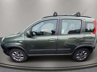 Usata Fiat Panda 4x4 75 CV (55 kW) 2014 Verde Utilitaria