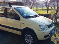 Usata Fiat Panda 4x4 60 CV (44 kW) 2006 Giallo Utilitaria