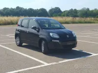 Usata Fiat Panda Easy 69 CV (50 kW) 2020 Nero Utilitaria