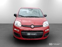 Nuova Fiat Panda Icon 69 CV (50 kW) 2025 Rosso passione pastello rosso passione pastello Utilitaria
