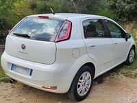 Usata Fiat Punto 75 CV (55 kW) 2013 Utilitaria