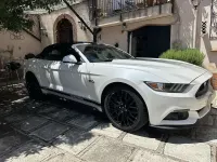 Usata Ford Mustang Performance Edition 421 CV (309 kW) 2017 Bianco Cabrio
