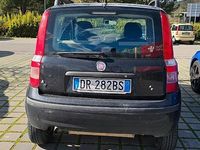 Usata Fiat Punto 2008 Nero Utilitaria