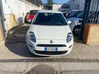 Usata Fiat Punto Lounge 77 CV (56 kW) 2014 Bianco Utilitaria