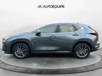 Usata Lexus NX350h Business Edition 243 CV (178 kW) 2023 Grigio SUV