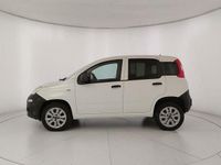 Usata Fiat Panda Pop 84 CV (61 kW) 2019 Bianco Utilitaria